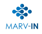 MARV-IN logo