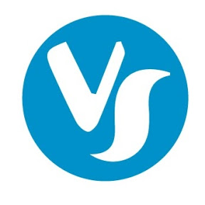 Visuality Systems logo
