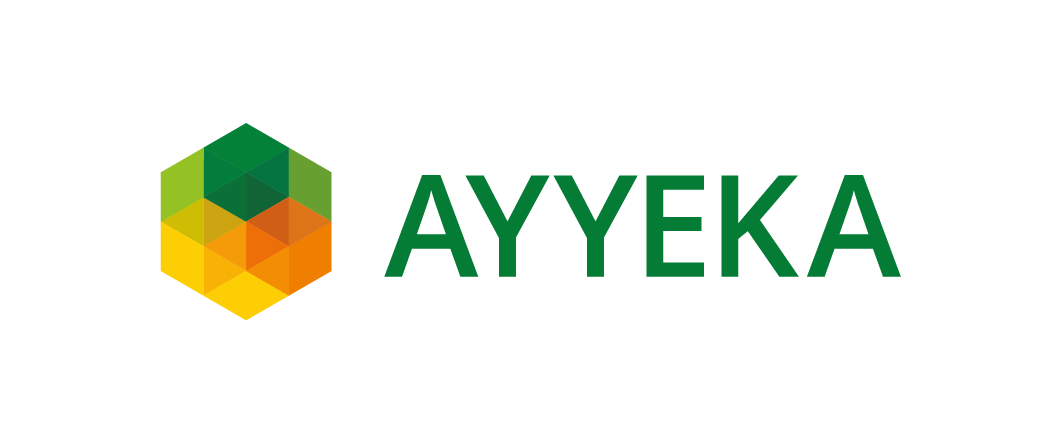 Ayyeka logo