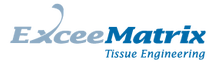 ExceeMatrix logo