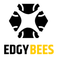 EdgyBees logo