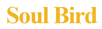 Soul Bird logo