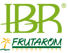 IBR logo