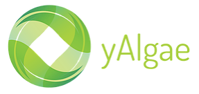 yAlgae logo