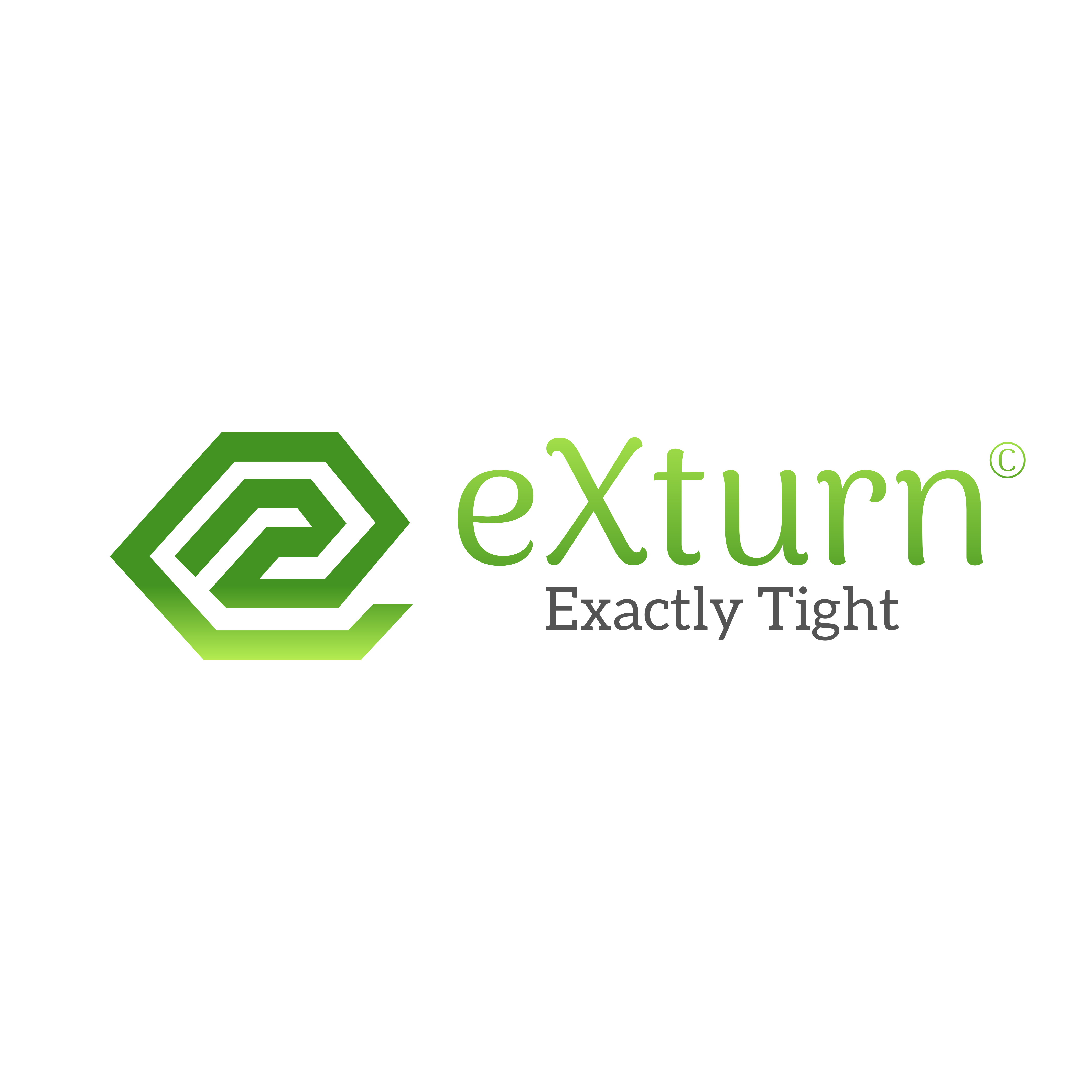 eXturn logo