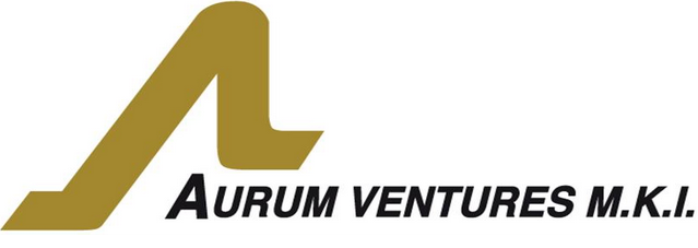 Aurum Ventures M.K.I logo