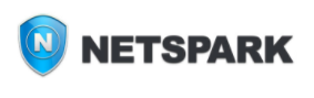 NetSpark logo