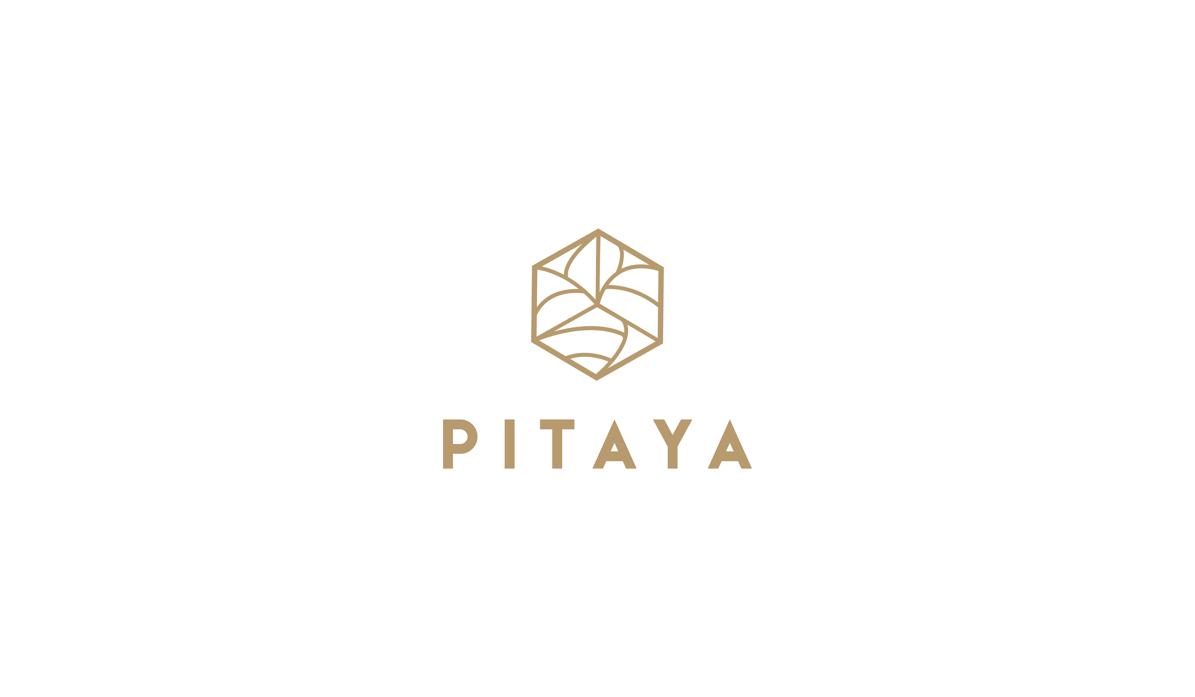 Pitaya logo