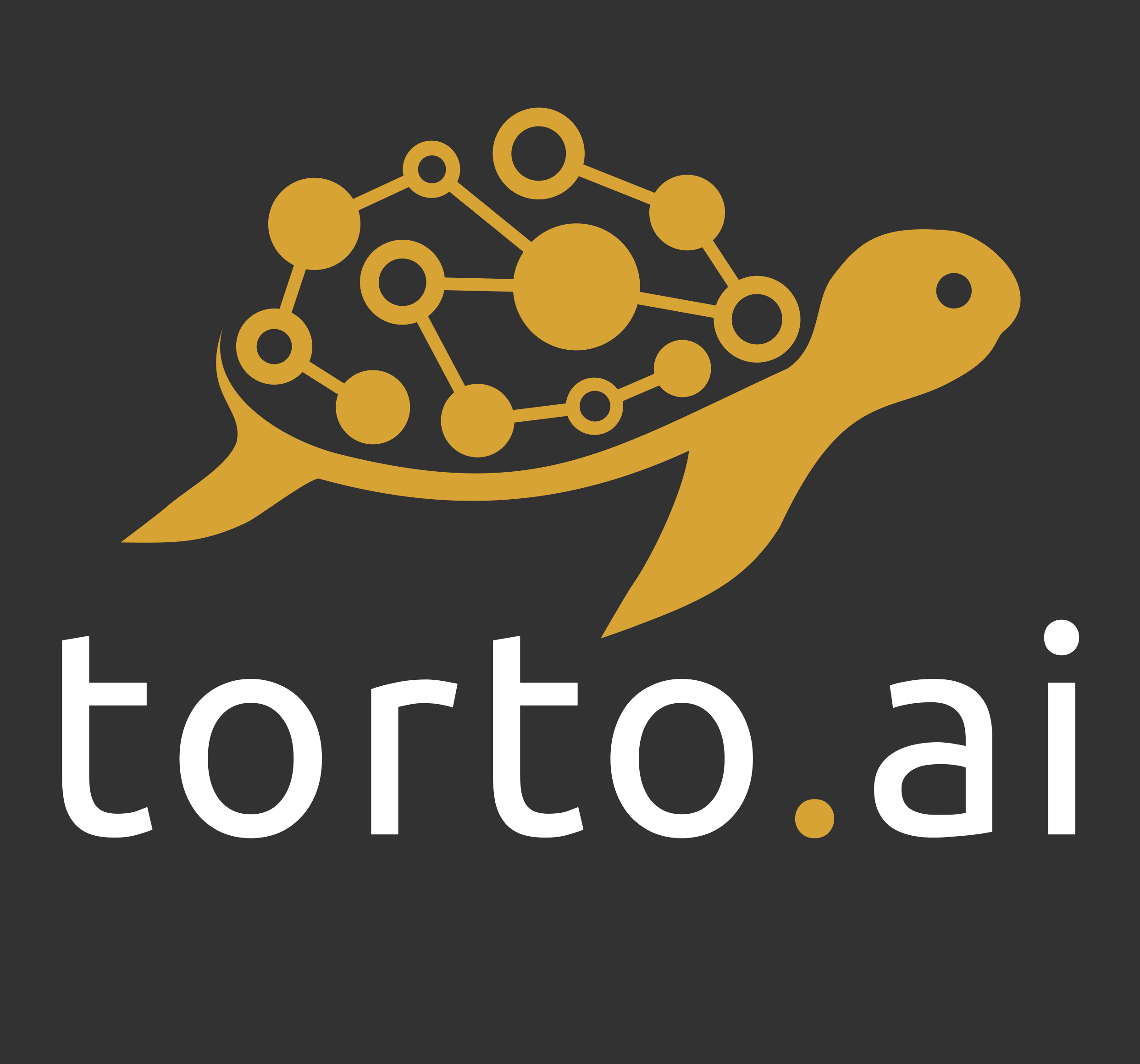 torto.ai logo