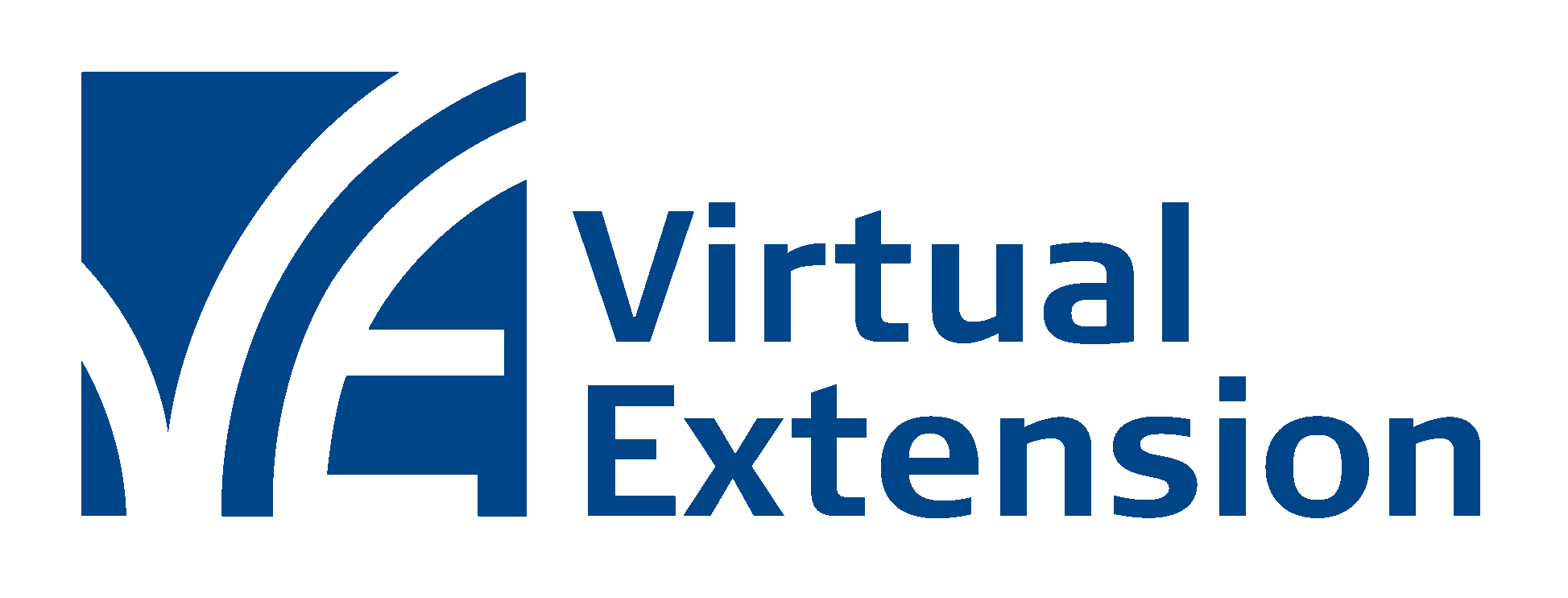 Virtual Extension logo