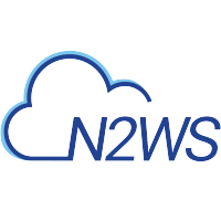 N2W Software logo