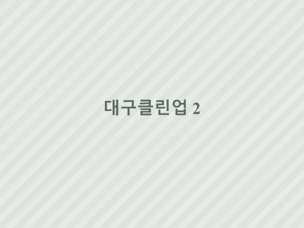 대구클린업 작업 사진 2