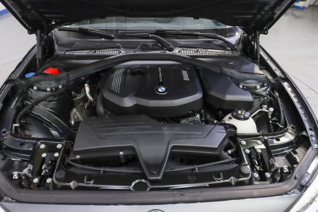 BMW Serie 1 Gasolina 116i 35