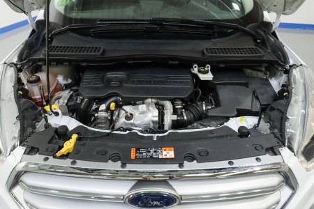 Ford Kuga Diésel 1.5 TDCi 88kW 4x2 A-S-S Trend+ 38