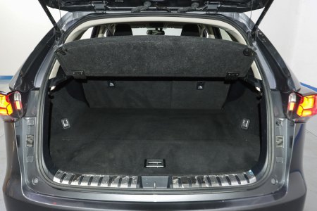 Lexus NX Híbrido 2.5 300h Business Navigation 2WD 17