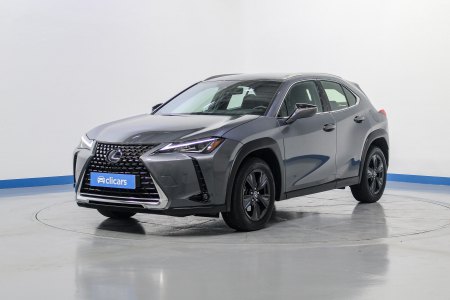 Lexus UX 250h Business 2WD