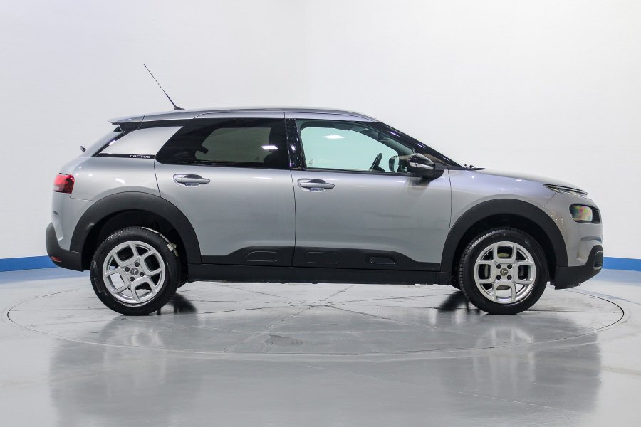 Citroën C4 Cactus Diésel BlueHDi 100 S&S Shine 6