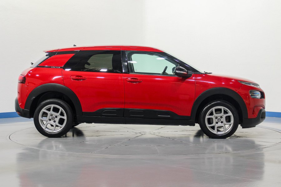 Citroen C4 Cactus Gasolina C4 Cactus 1.2 PureTech S&S Feel 110 6