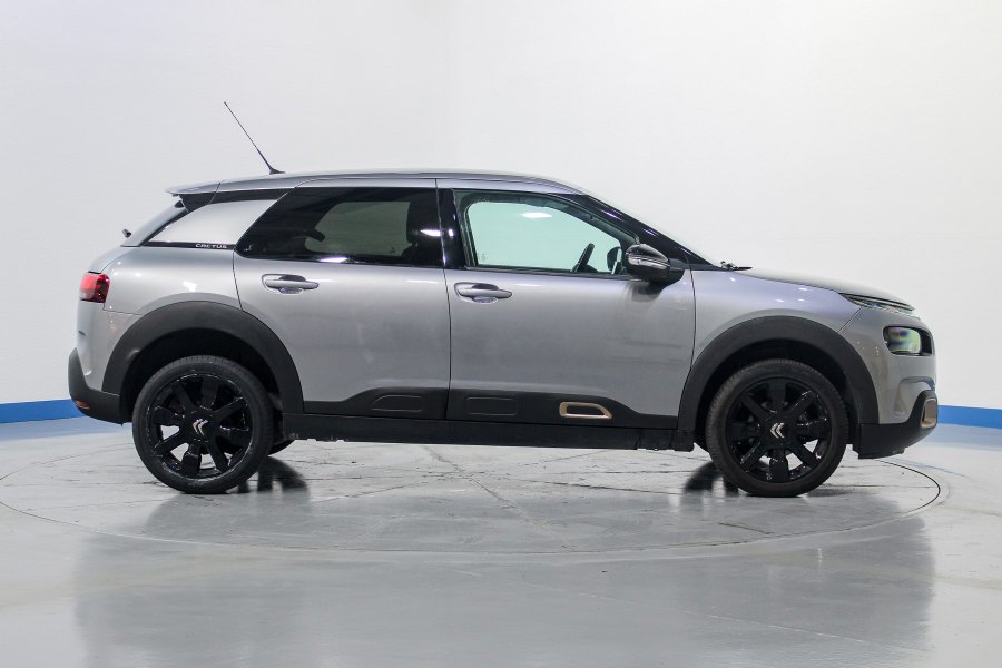 Citroën C4 Cactus Gasolina PureTech 110 S&S Origins 6