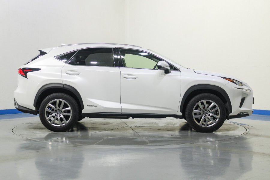 Lexus NX Híbrido 2.5 300h Executive Navigation 4WD 6