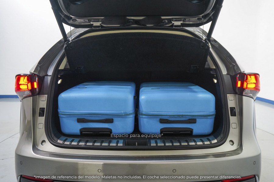 Lexus NX Híbrido NX 300h Executive Navigation 4WD 10