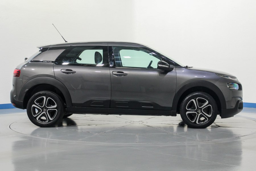 Citroen C4 Cactus Gasolina C4 Cactus 1.2 PureTech S&S Feel 110 6