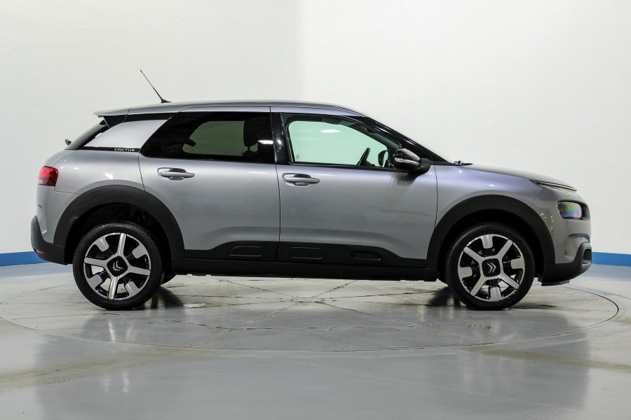 Citroen C4 Cactus Gasolina C4 Cactus 1.2 PureTech S&S Shine 110 6