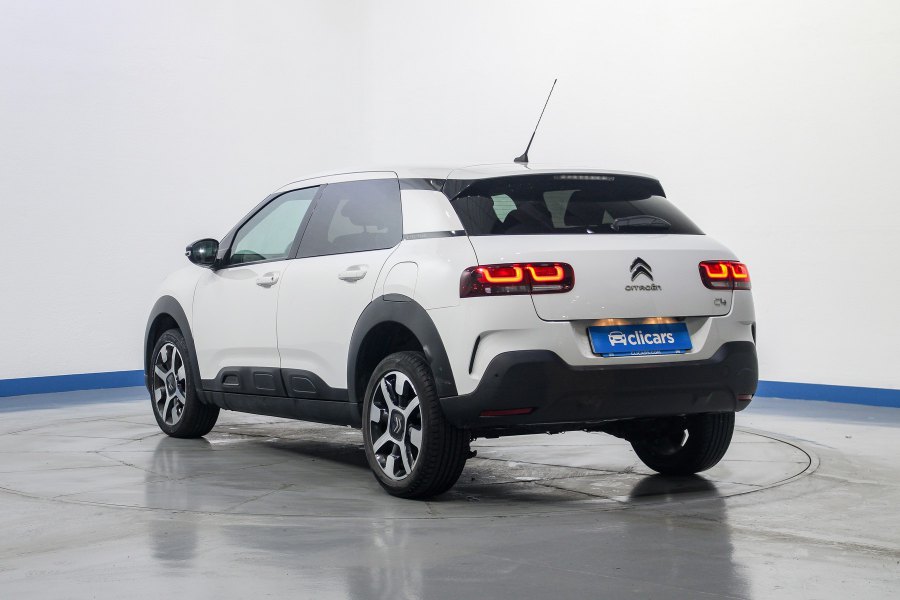 Citroën C4 Cactus Diésel BlueHDi 100 S&S Shine 8