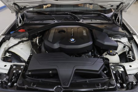 BMW Serie 1 Gasolina 116i 37