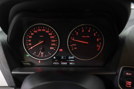 BMW Serie 1 Gasolina 116i 15