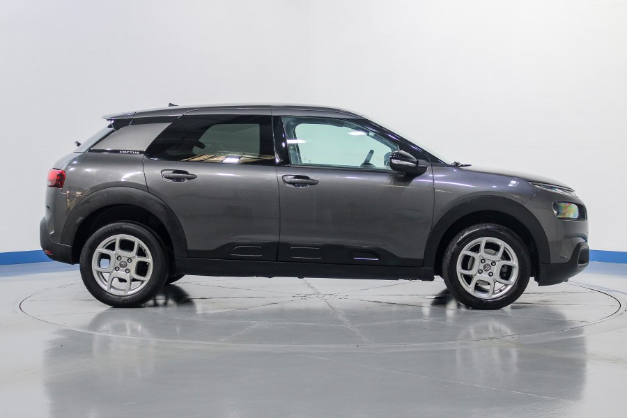 Citroen C4 Cactus Diésel C4 Cactus 1.5BlueHDi S&S Shine 100 6