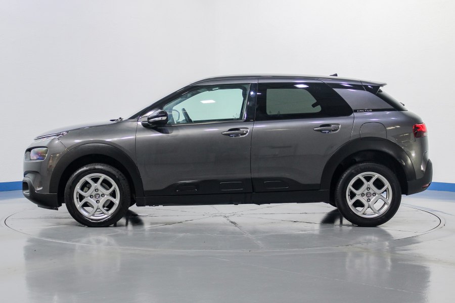 Citroen C4 Cactus Diésel C4 Cactus 1.5BlueHDi S&S Shine 100 7