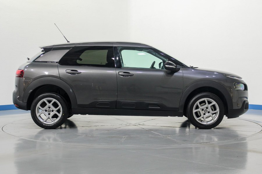 Citroen C4 Cactus Gasolina C4 Cactus 1.2 PureTech S&S Feel 110 6