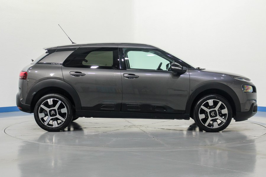 Citroen C4 Cactus Gasolina C4 Cactus 1.2 PureTech S&S Shine 110 6