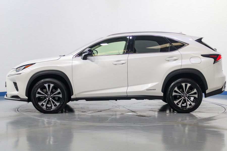 Lexus NX Híbrido NX 300h Business 2WD 7