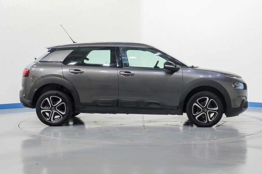 Citroen C4 Cactus Gasolina C4 Cactus 1.2 PureTech S&S Feel 110 6