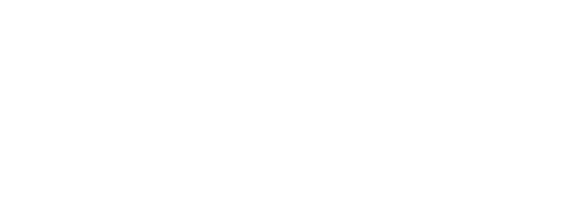 burdi automated accounting software
