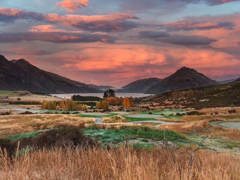 CPP0245-Colours-of-Change.1-800×600-1.jpg