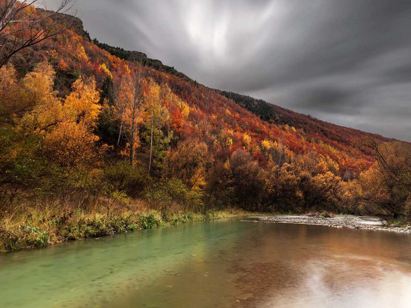 Media-CPP0246-Reflect-and-Revive-800×600-1.jpg