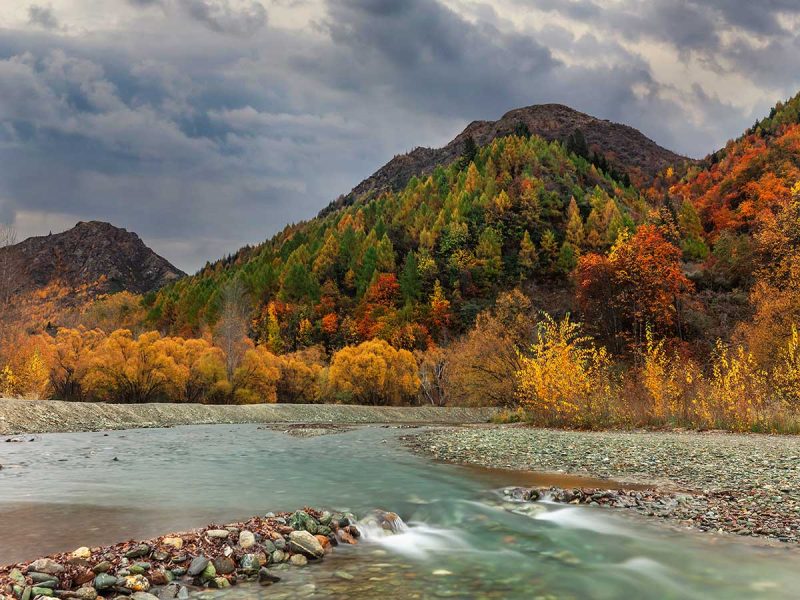 Peaceful-and-Playful-800×600-1.jpg