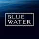 Blue Water Web logo picture