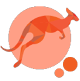 Digital Roo  logo picture