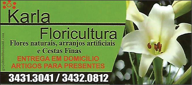 OFICINA DE CESTAS - Floricultura e Cestas Finas em Recife - PE