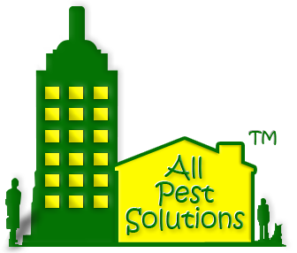 Pest Control Sachse
Squirrel a Raccoon Removal
Termite Treatment
Bed Bug Treatment