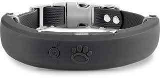 Where To Buy The Cesar Millan Dog Collar