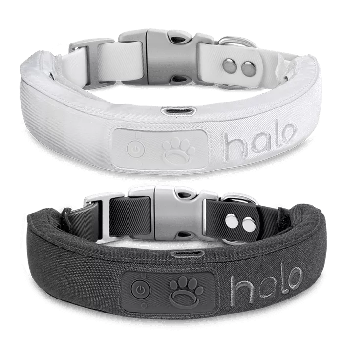 Cesar Millan Halo Collar Review