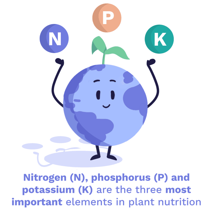 Image of Important elements for plant nutrition