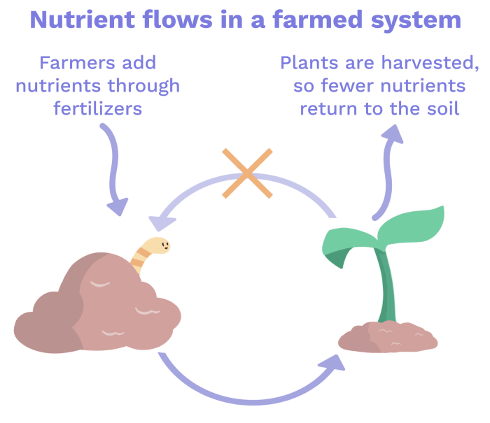 Image of Nutrient flow in an agricultural system