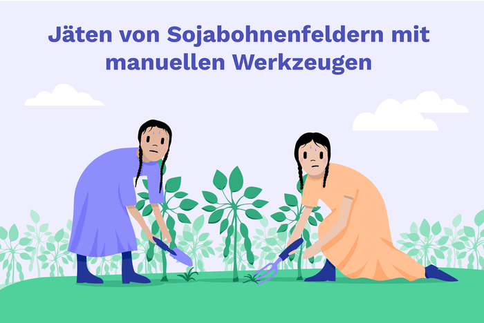 Image of Manuelles Jäten von Sojabohnenfeldern