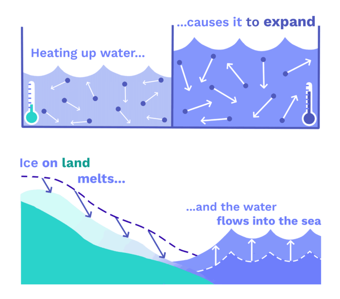Image of Causes of Sea Level Rise